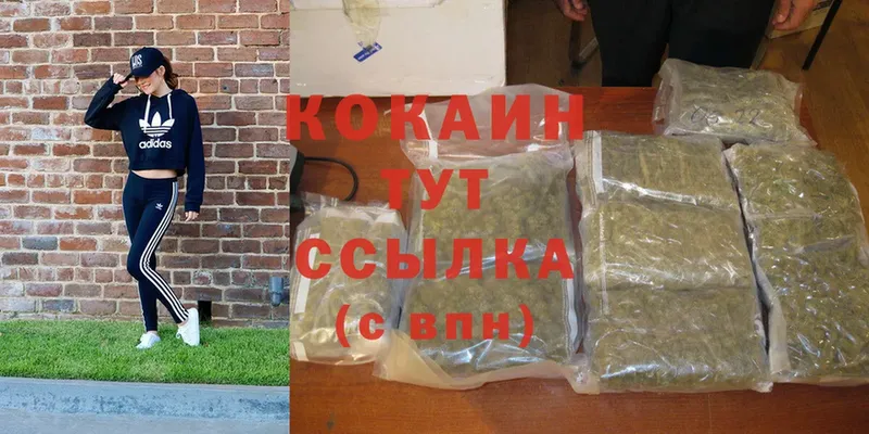 Кокаин FishScale  omg ТОР  Кадников  где можно купить  